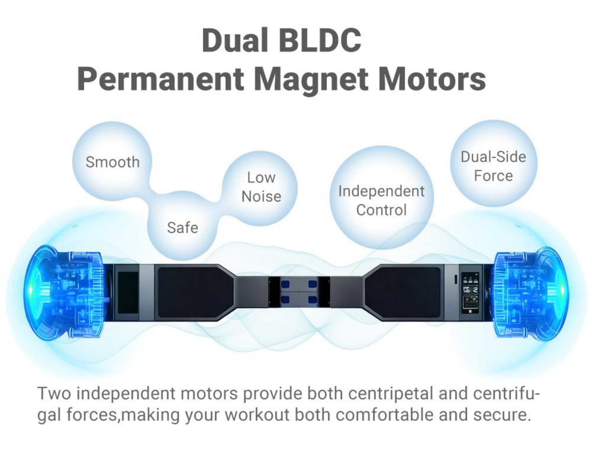 Dual BLDC permanent magnet motors